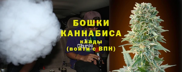 apvp Аркадак