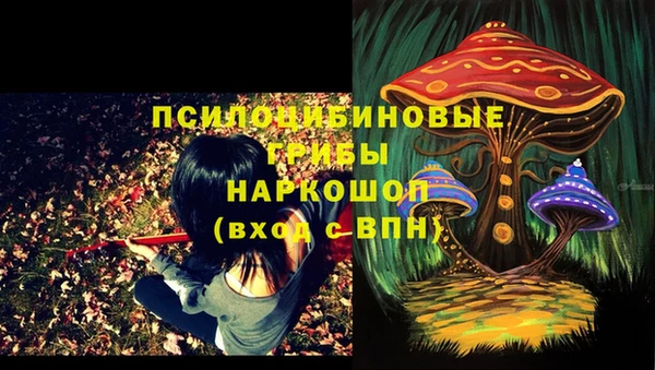 спайс Арсеньев