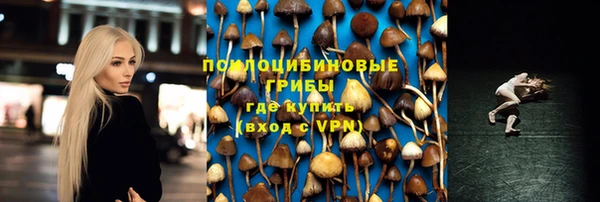 apvp Аркадак